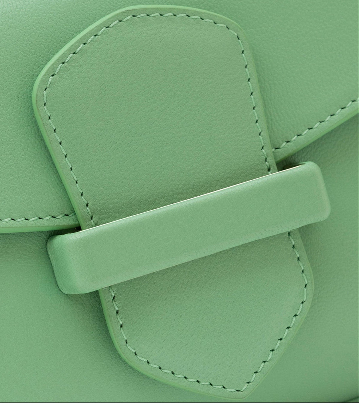 Pellame verde Capretto Lux