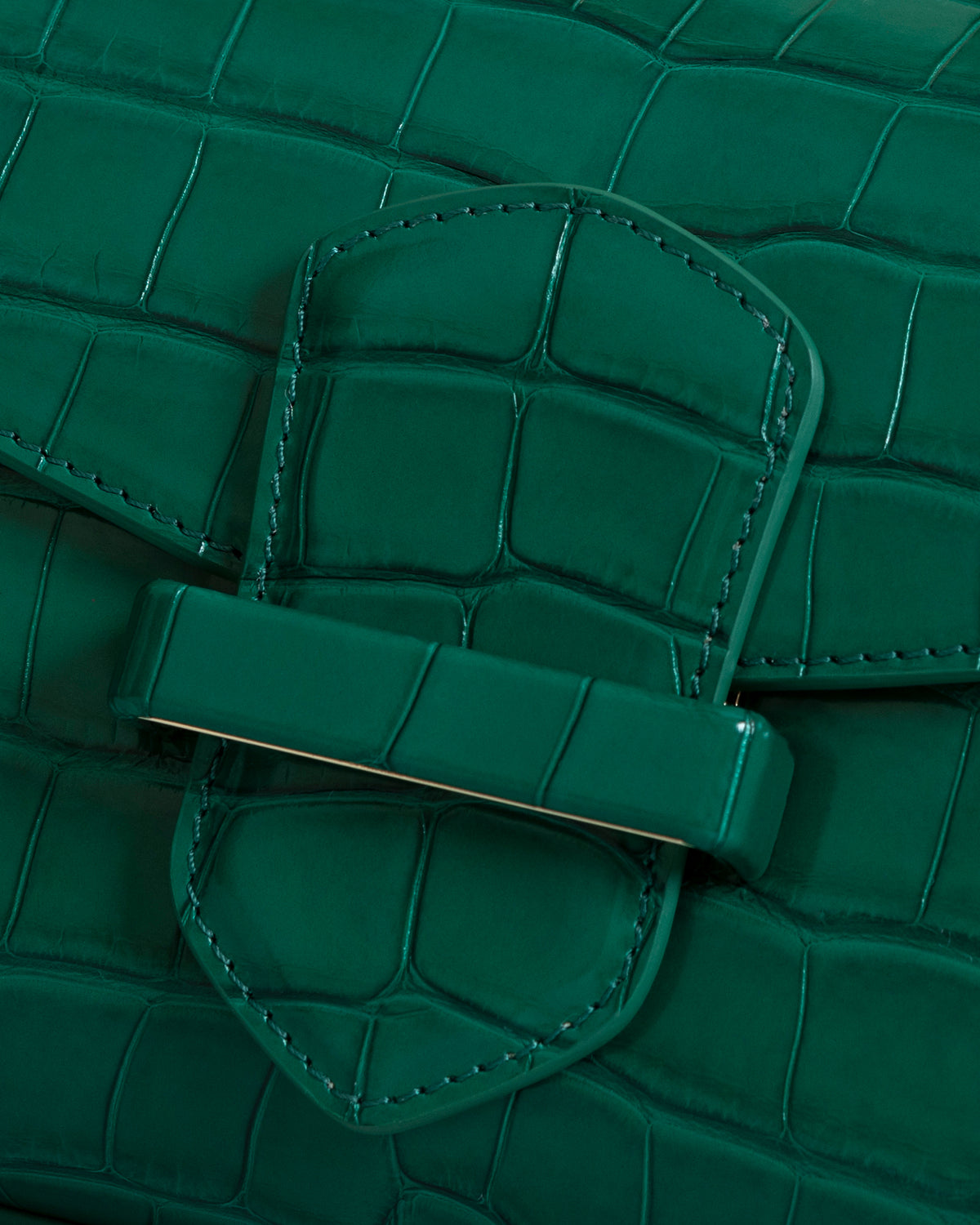 Pellame alligatore verde