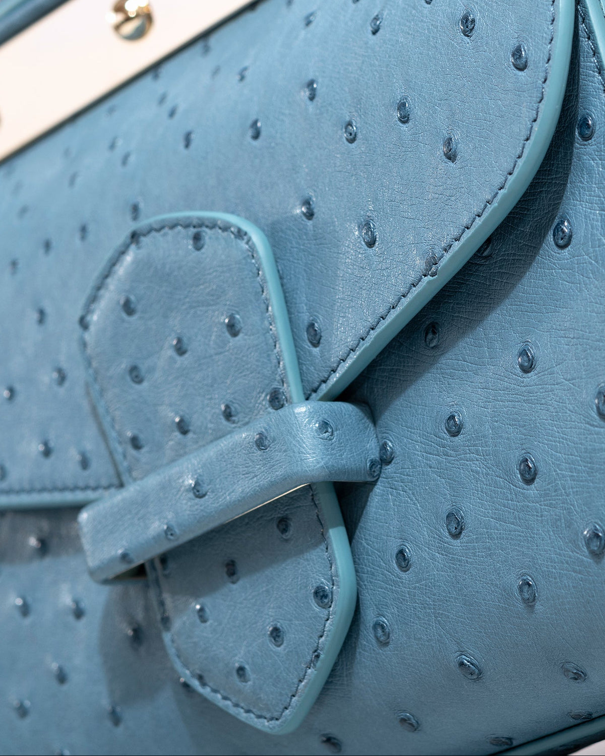 Pellame struzzo azzurro